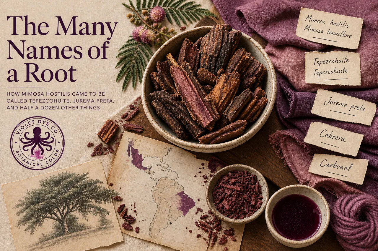 Mimosa hostilis root bark chips, shredded bark, dye bowls, textiles, and handwritten names including tepezcohuite and jurema preta