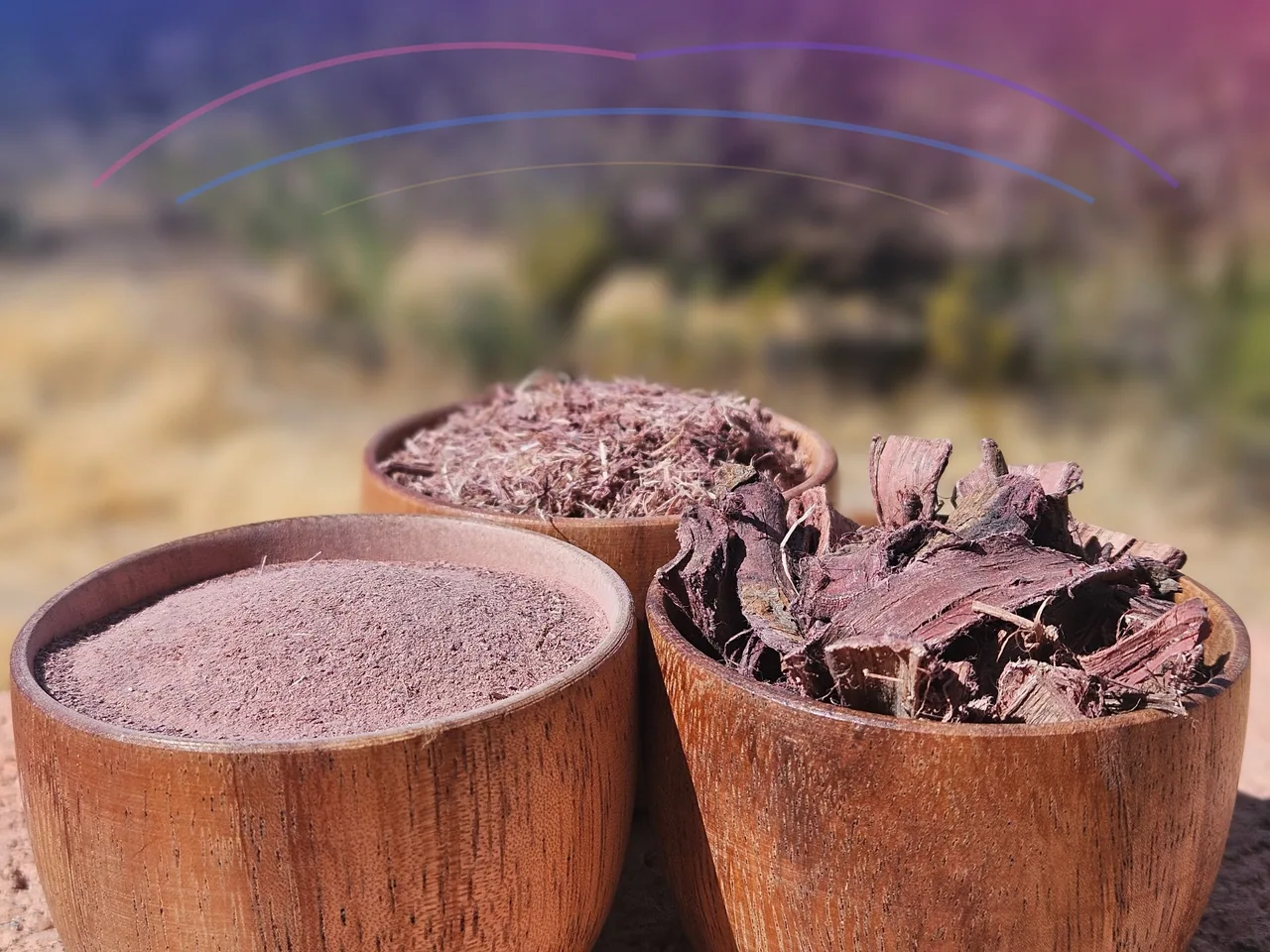 Three wooden bowls holding Mimosa hostilis inner root bark powder, shredded bark, and chips against a softly blurred dry landscape