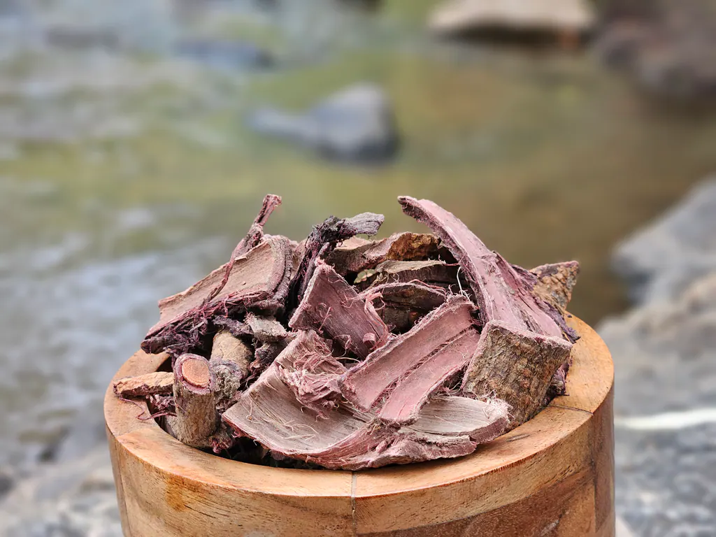 Mimosa hostilis root bark chips in a wooden bowl on a rock beside a creek.