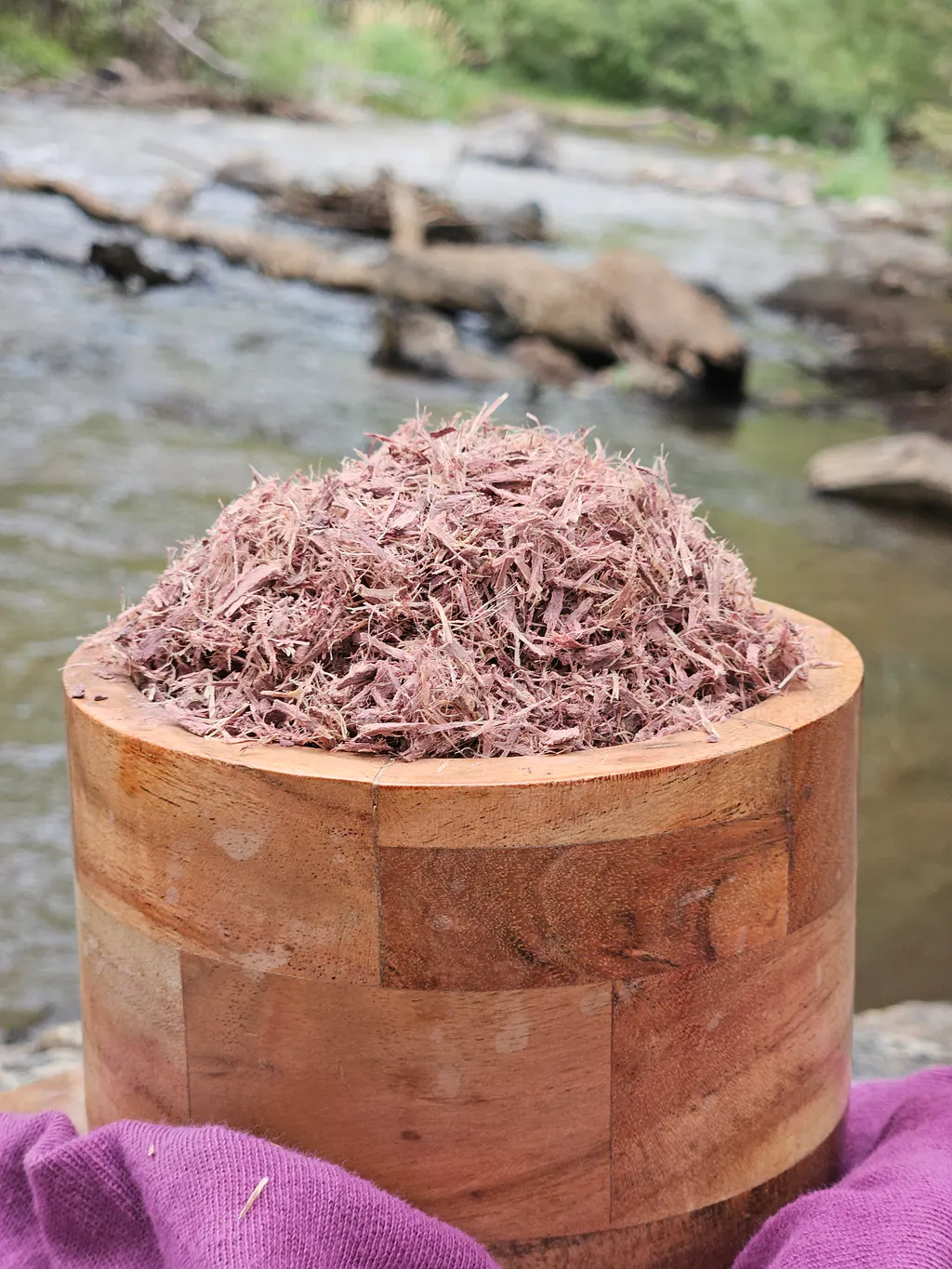 Shredded Mimosa hostilis root bark in a wooden bowl beside a flowing creek.