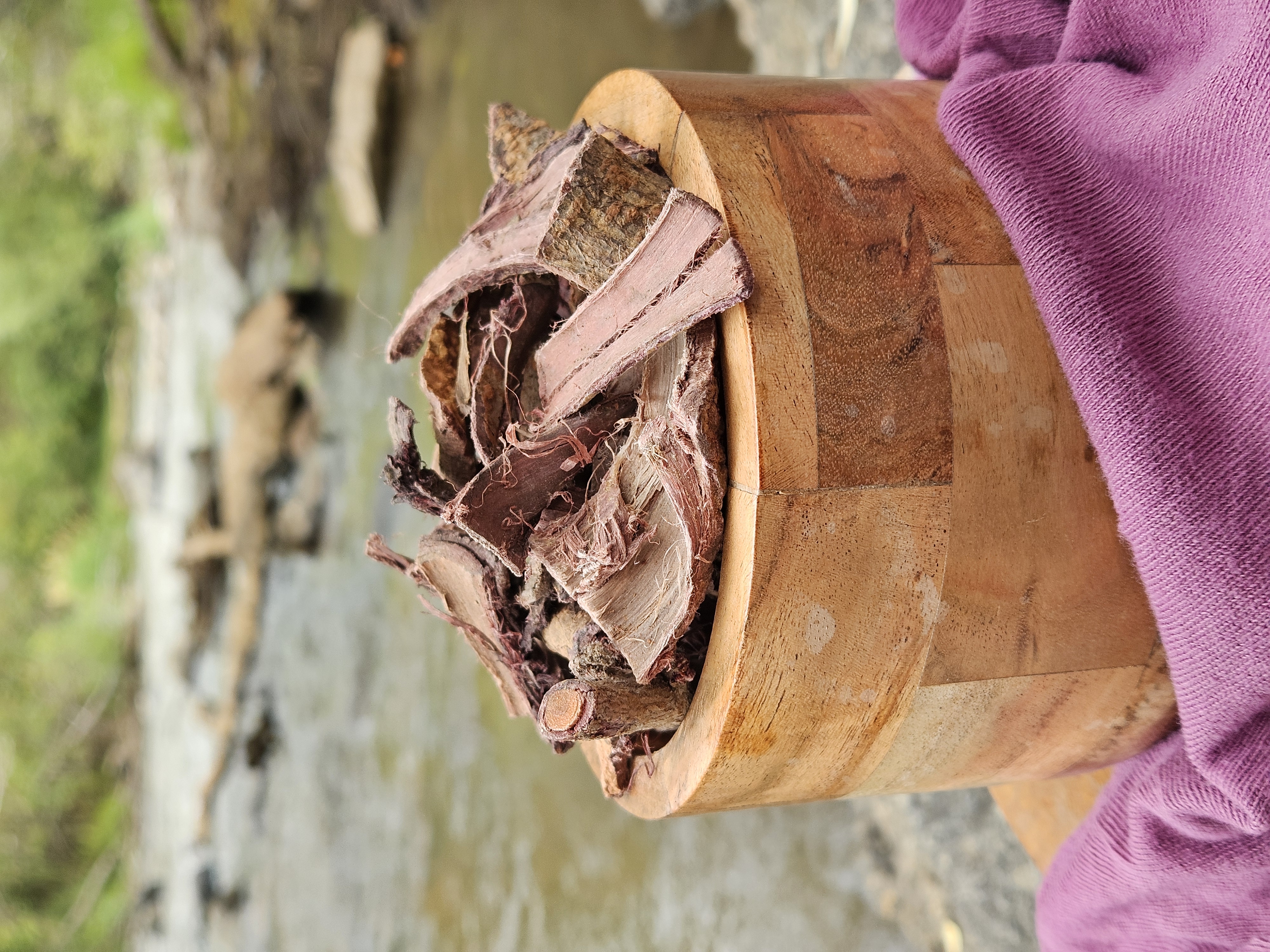 Mimosa Hostilis root bark chips in an acacia wood bowl