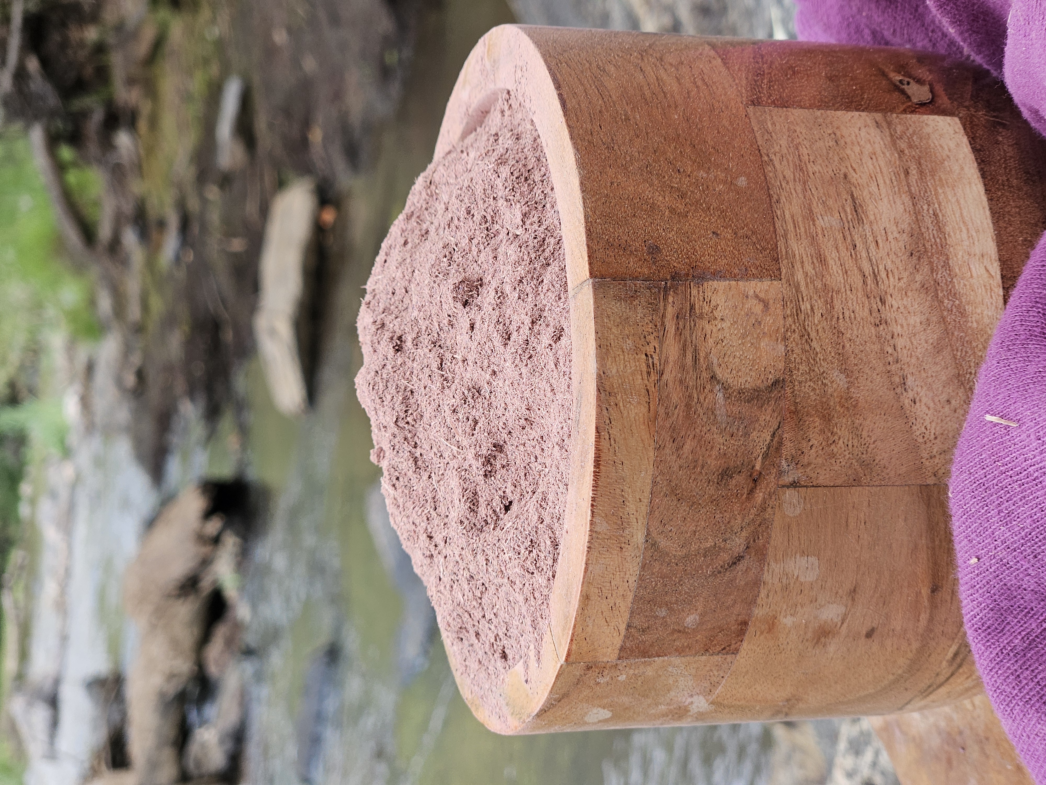 Mimosa Hostilis root bark powder in an acacia wood bowl