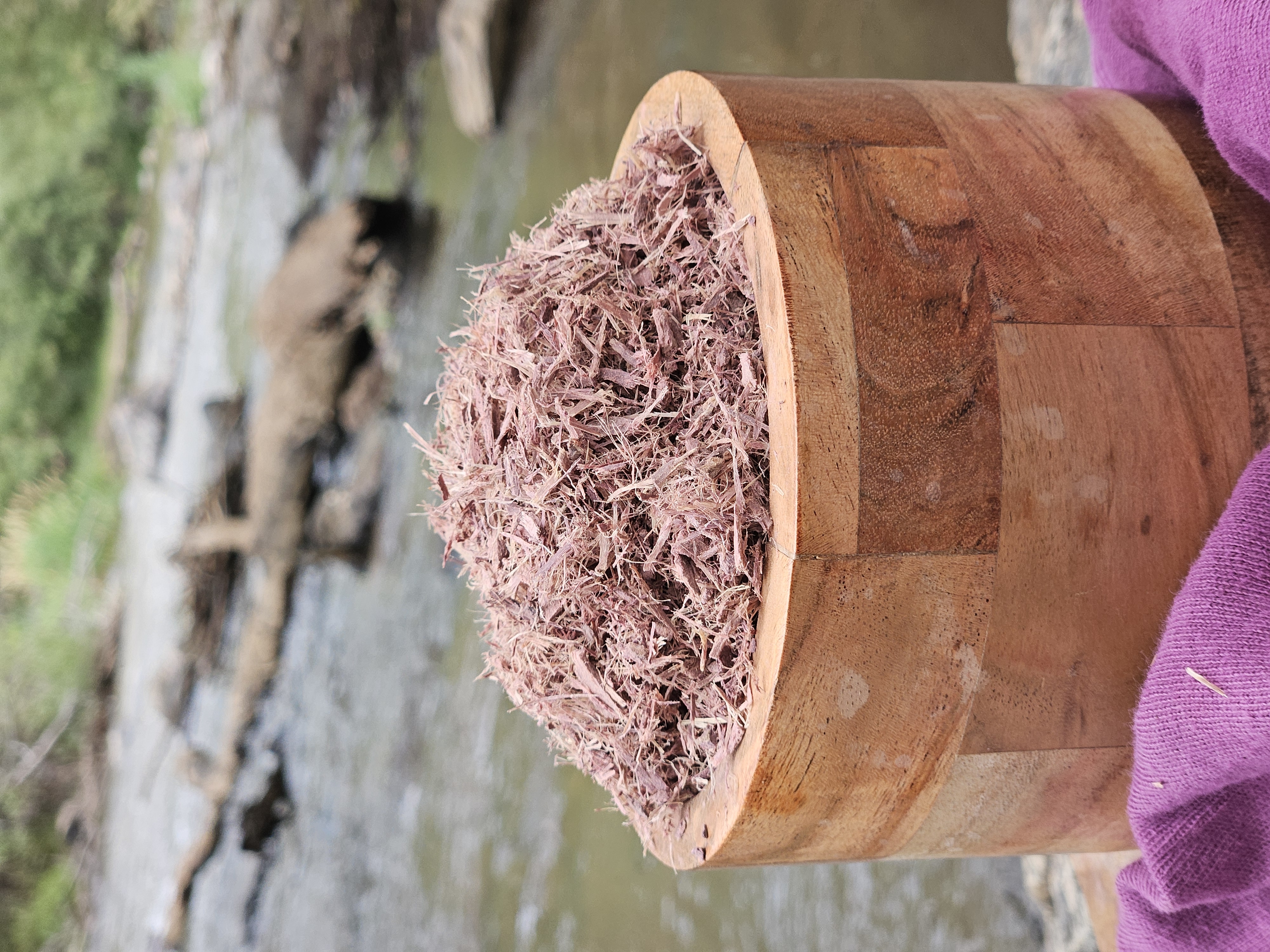 Mimosa Hostilis shredded root bark in an acacia wood bowl
